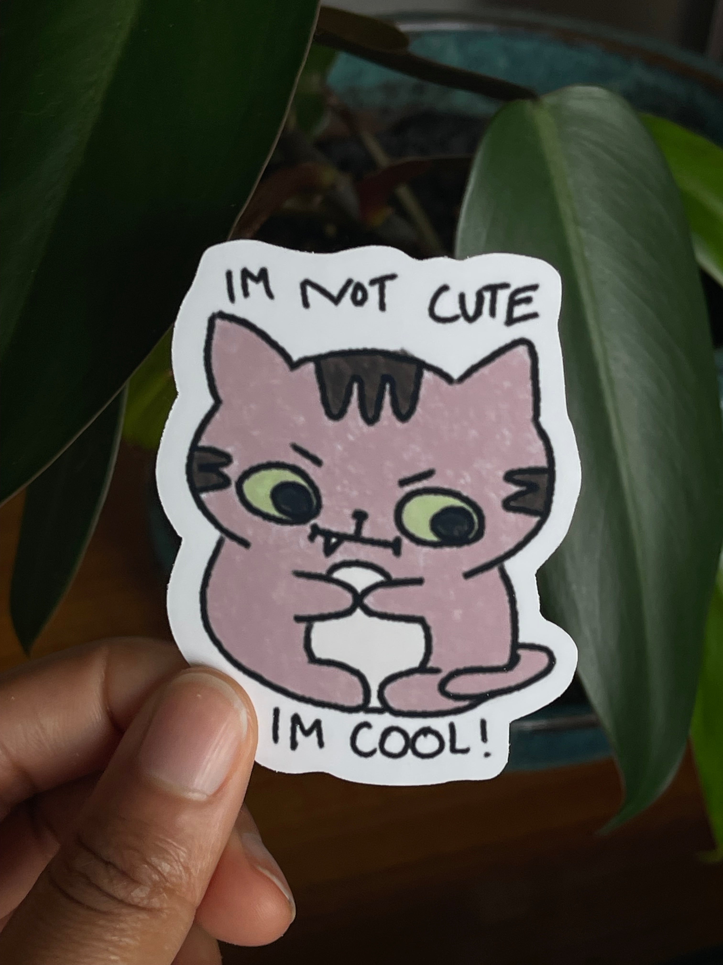I'm not cute I'm cool! Sticker